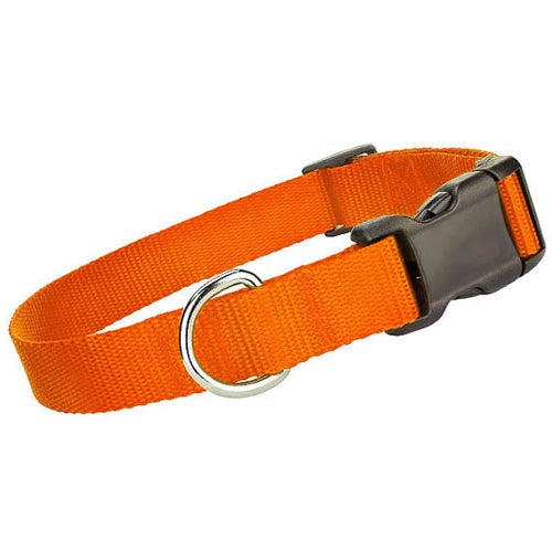 Nylon Dog Collar Orange