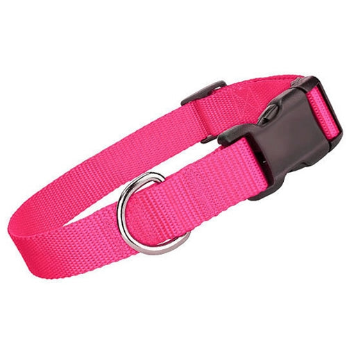 Nylon Dog Collar Neon Pink