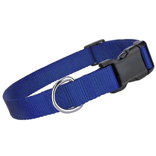 Nylon Dog Collar Blue