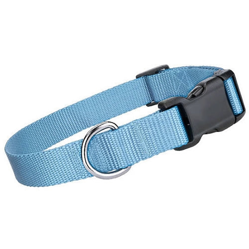 Nylon Dog Collar Light Blue