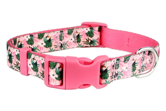 Tropical Toucans Dog Collar