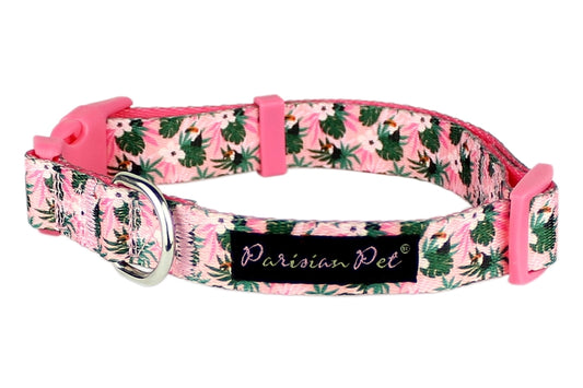 Parisian Pet 'Tropical Toucan' Collar for Dogs & Cats – Adjustable Pink Tropical Pet Collar with Colorful Design