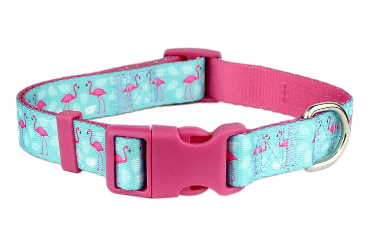 Flamingos Dog Collar