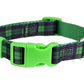 Scottish Plaid Dog Collar Green Blue