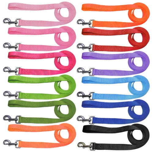 Nylon Pet Dog Leash 4ft