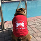 Parisian Pet 'Lifeguard on Doody' Dog & Cat T-Shirt – Funny Cotton Shirt, Stylish & Comfortable Pet Apparel – Red