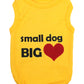 Parisian Pet 'Big Heart' Slogan Dog Shirt – Soft and Breathable Pet Apparel for Small Dogs & Cats, Yellow-Valentine's Day