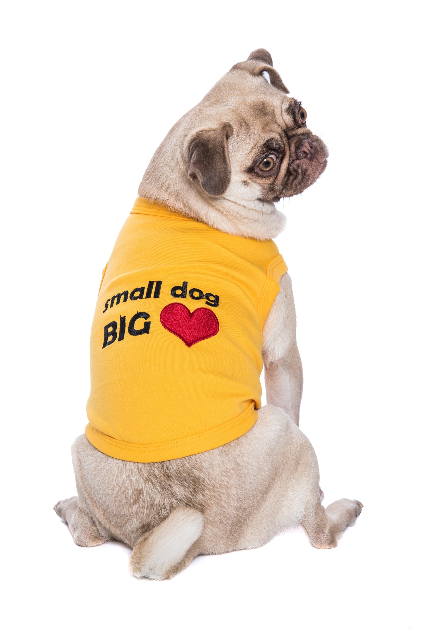 Parisian Pet 'Big Heart' Slogan Dog Shirt – Soft and Breathable Pet Apparel for Small Dogs & Cats, Yellow-Valentine's Day