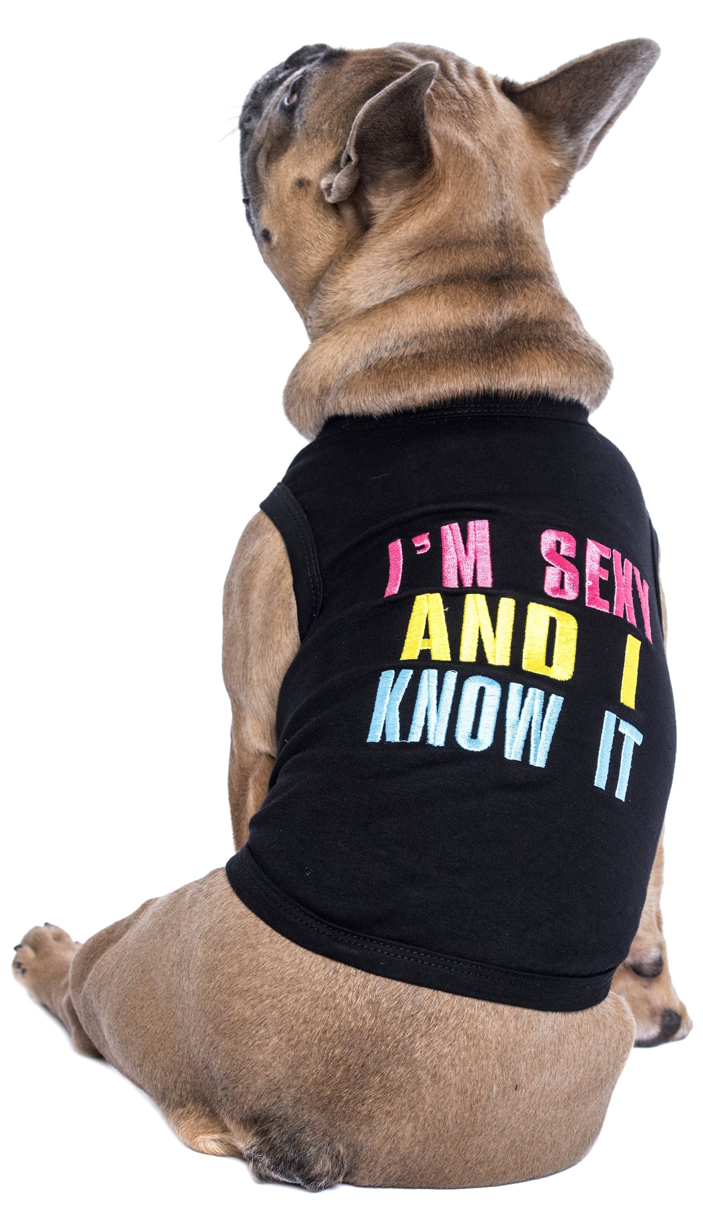 Parisian Pet 'Sexy and I Know It' Dog & Cat Shirt – Humorous Embroidered Novelty Pet Apparel, Comfortable & Stylish – Black