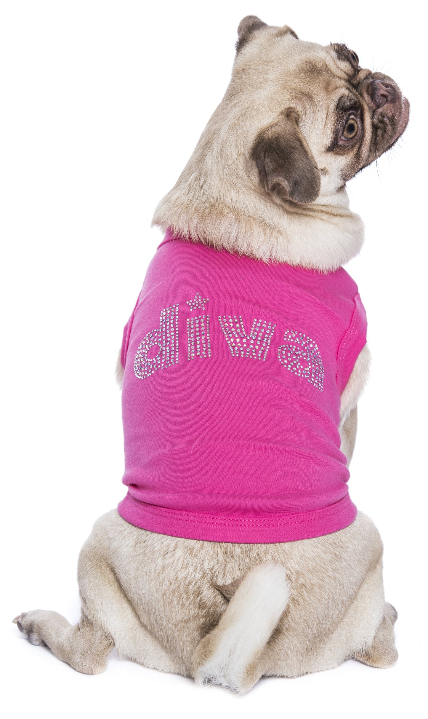 Parisian Pet 'Diva' Dog Shirt - Trendy Pet T-Shirt for Dogs & Cats, Pink