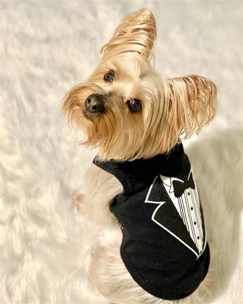 Parisian Pet 'Tuxedo' Stylish Dog Outfit – Premium Cotton Formal Wear for Special Occasions, Black