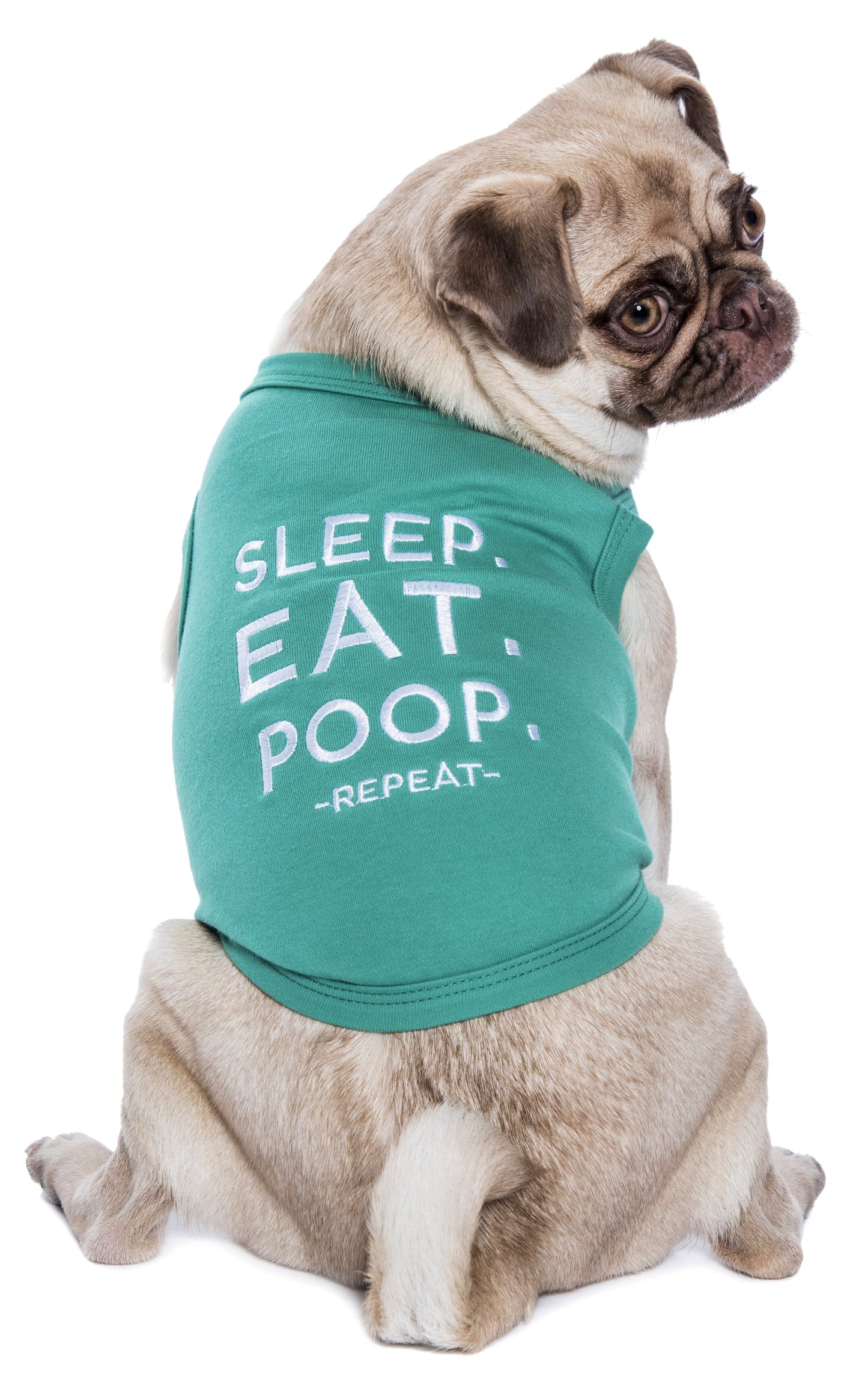 Parisian Pet 'Sleep Eat Poop' Playful Dog Shirt – Trendy Embroidered Pet Apparel for Dogs & Cats, Saint Patrick's Day