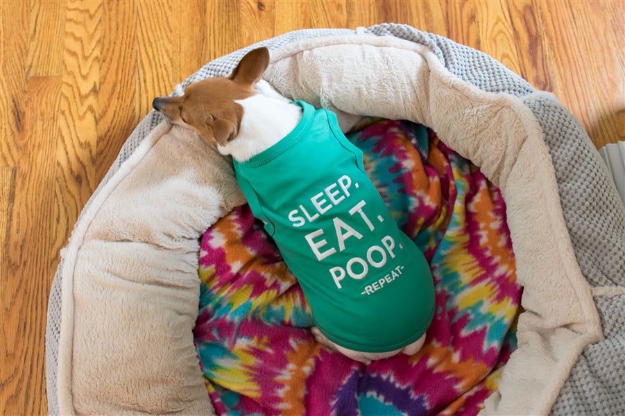 Sleep Eat Poop