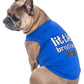 Parisian Pet 'Little Brother' Dog Shirt - Dog Sibling Shirt for Dogs & Cats, Blue