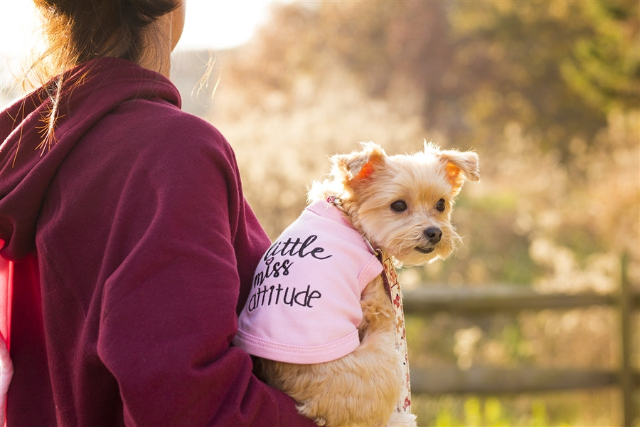 Parisian Pet 'Little Miss Attitude' Pet Shirt - Cute Dog & Cat Shirt, Pink