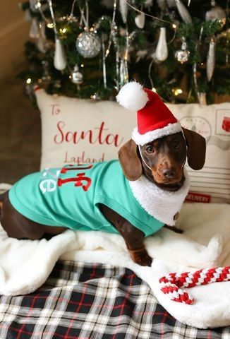 Parisian Pet Embroidered 'Elf Size Shirt' - Holiday Pet Apparel & Christmas Dog Clothes, Green