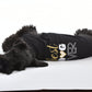 Parisian Pet 'Best Dog Ever' Cute Slogan Dog T-Shirt – Premium Cotton Pet Wear for Small Dogs & Cats, Black-Valentine's Day