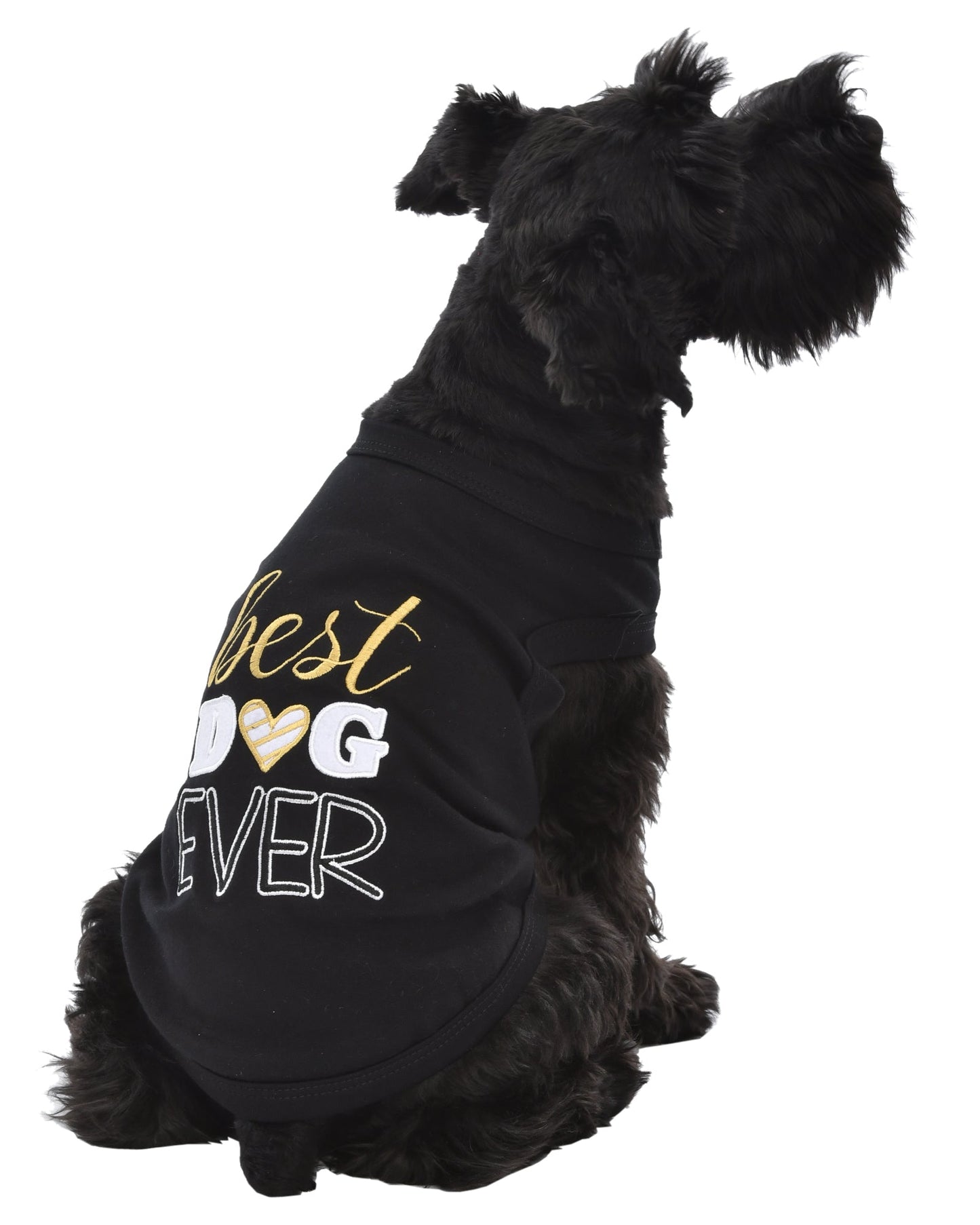 Parisian Pet 'Best Dog Ever' Cute Slogan Dog T-Shirt – Premium Cotton Pet Wear for Small Dogs & Cats, Black-Valentine's Day