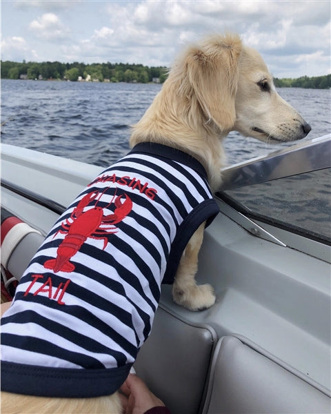 Parisian Pet 'Lobster Chasing Tail' Dog Shirt – Nautical Cotton Pet T-Shirt for Dogs & Cats, Blue & White Stripes