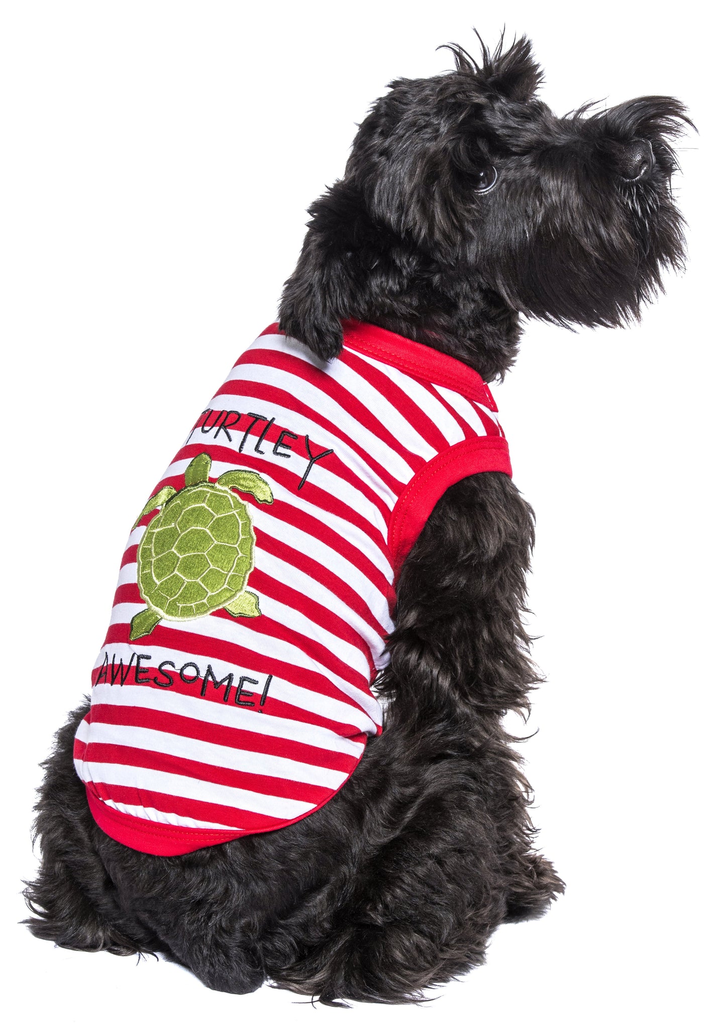 Parisian Pet 'Turtley Awesome' Dog Shirt – Fun Slogan Cotton Pet T-Shirt for Dogs & Cats, Red and White Stripes