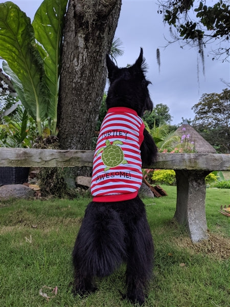 Parisian Pet 'Turtley Awesome' Dog Shirt – Fun Slogan Cotton Pet T-Shirt for Dogs & Cats, Red and White Stripes