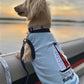 Parisian Pet 'Sailing Club' Dog Shirt – Nautical Embroidered Pet Apparel for Dogs & Cats, Light Blue