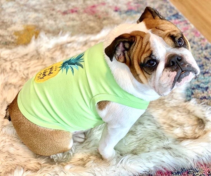 Parisian Pet 'Pineapple' Dog Shirt – Tropical Cotton Pet T-Shirt for Dogs & Cats-Saint Patrick's Day