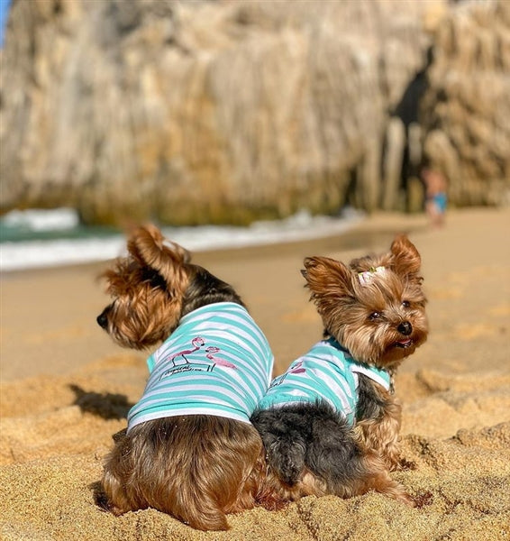 Parisian Pet 'Flamingos'  Dog Shirt – Lightweight & Breathable Summer Outfit for Small Dogs & Cats, Light Blue and White Stripes