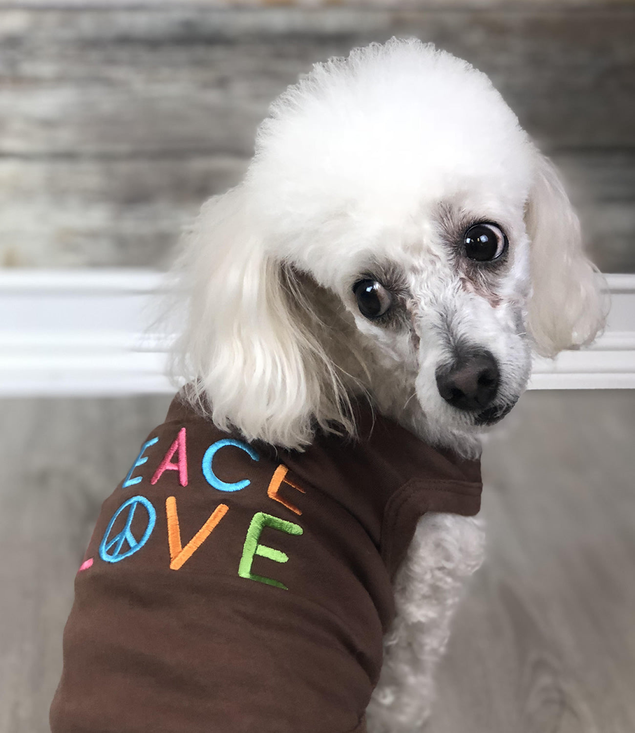 Parisian Pet 'Peace Love' Positive Pet T-Shirt – Stylish Cotton Outfit for Dogs & Cats, Brown-Valentine's Day