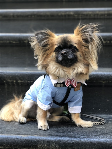 Square Cuff Shirt Bow Tie