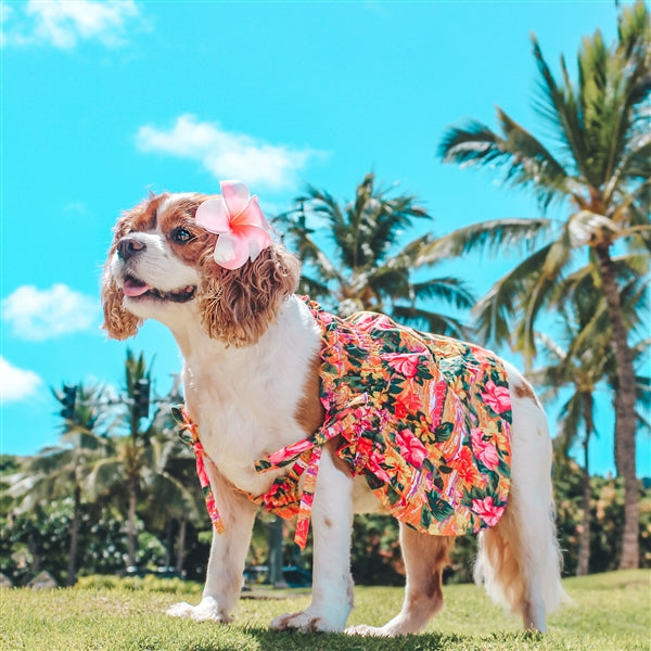 Parisian Pet 'Hawaiian Dress' Dog & Cat Shirt – Island-Themed Vacation Pet Apparel – Orange