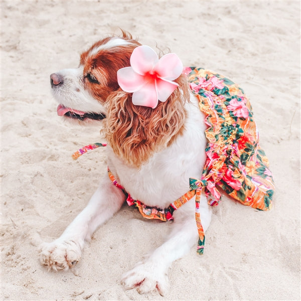 Parisian Pet 'Hawaiian Dress' Dog & Cat Shirt – Island-Themed Vacation Pet Apparel – Orange