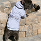 Parisian Pet 'Blessed Hoodie' in Gray - Trendy Pet Hoodie for Dogs & Cats, Perfect for Fall & Winter