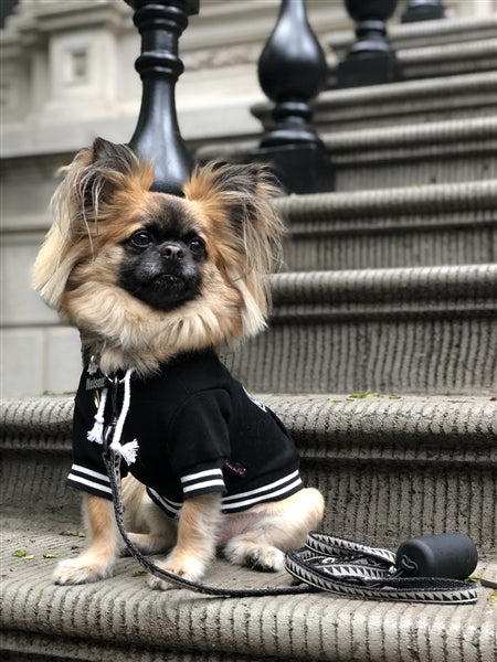 Parisian Pet 'Bestie Hoodie' in Black - Trendy Pet Hoodie for Dogs & Cats, Perfect for Fall & Winter-Valentine's Day