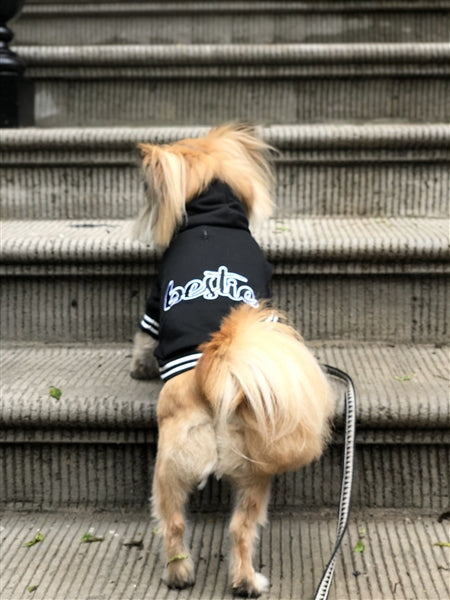 Parisian Pet 'Bestie Hoodie' in Black - Trendy Pet Hoodie for Dogs & Cats, Perfect for Fall & Winter-Valentine's Day