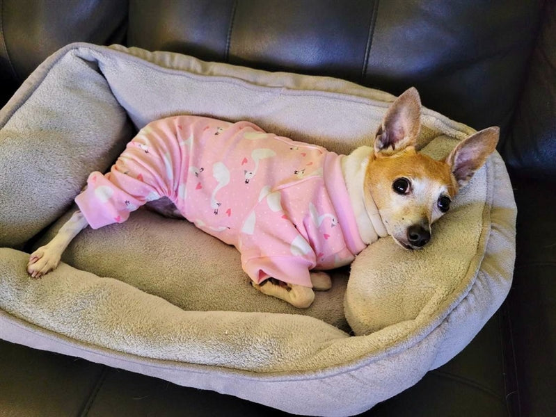 Parisian Pet 'Pink Swan' Pajama for Dogs & Cats, Luxury Pet Sleepwear, Cozy Dog Pajama Set-Valentine's Day