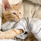 Parisian Pet 'Grey Sheep' Pajama for Dogs & Cats, Designer Pet Sleepwear, Cozy Dog Pajama Set, Grey