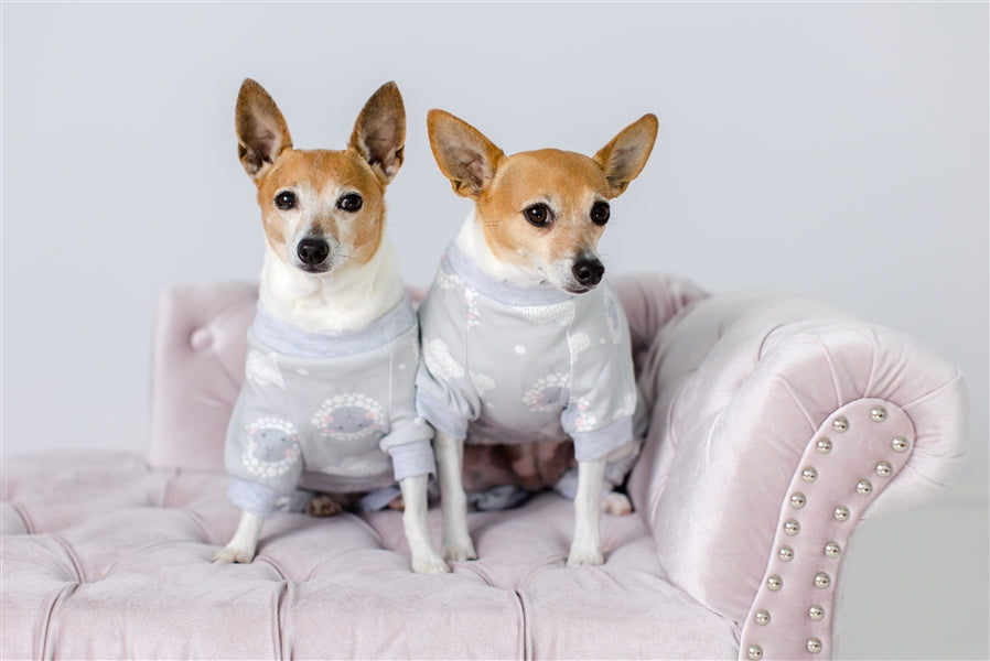 Parisian Pet 'Grey Sheep' Pajama for Dogs & Cats, Designer Pet Sleepwear, Cozy Dog Pajama Set, Grey