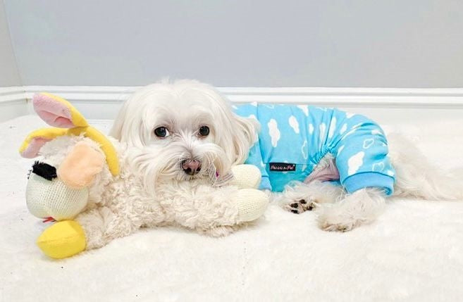 Parisian Pet 'Blue Cloud' Pajama for Dogs & Cats, Comfortable Pet Pajama Set, Cozy Dog Pajamas, Blue