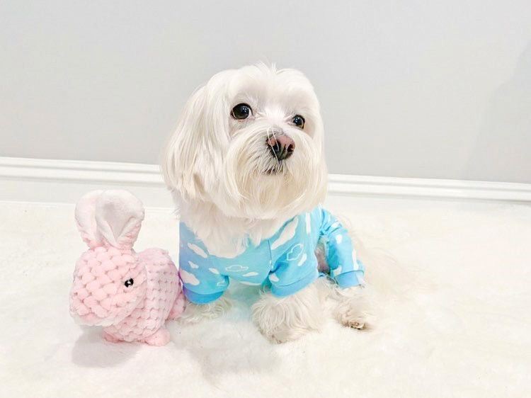 Parisian Pet 'Blue Cloud' Pajama for Dogs & Cats, Comfortable Pet Pajama Set, Cozy Dog Pajamas, Blue