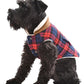 Parisian Pet 'Scottish Jacket' for Dogs & Cats, Plaid Pet Jacket, Formal Wear, Holiday Pet Jacket, Red/Blue Plaid