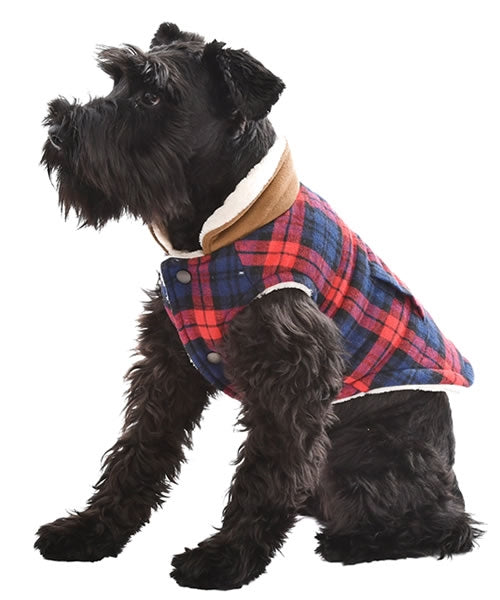 Parisian Pet 'Scottish Jacket' for Dogs & Cats, Plaid Pet Jacket, Formal Wear, Holiday Pet Jacket, Red/Blue Plaid