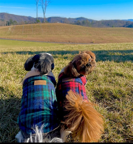 Scottish Jacket, Red/Blue Plaid