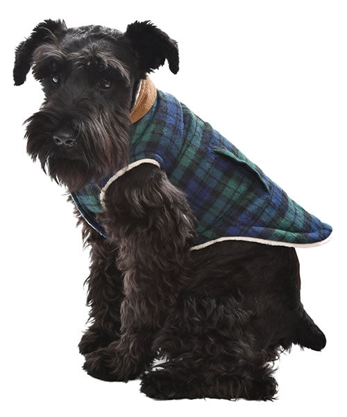 Parisian Pet 'Scottish Jacket' for Dogs & Cats, Designer Pet Jacket, Holiday & Christmas Wear-Saint Patrick's Day