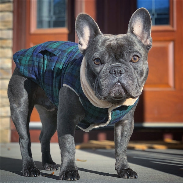 Scottish Jacket, Green/Blue Plaid