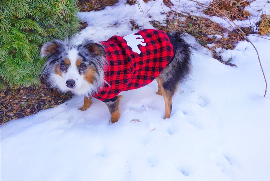 Parisian Pet 'Buffalo Checkered Sweater - Polar Bear' for Dogs and Cats - Cozy Winter Wear with Adorable Polar Bear Design Red and Black