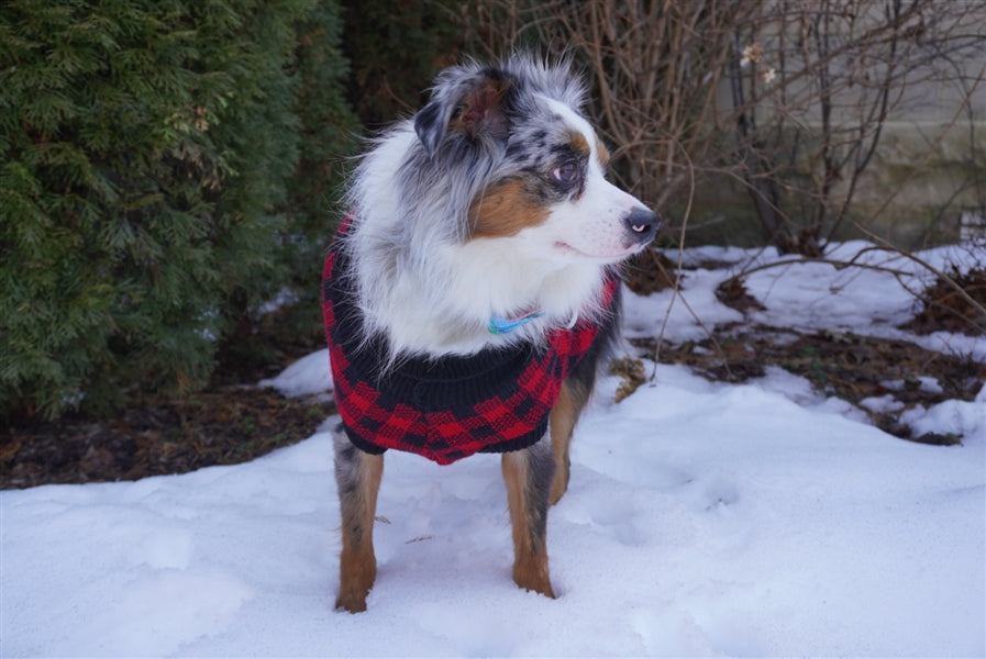 Buffalo Checkered Sweater, Polar Bear