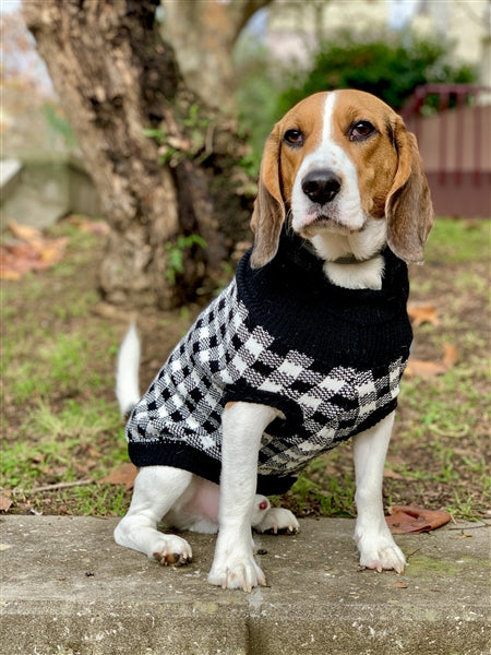 Parisian Pet 'Buffalo Checkered Sweater - Deer' for Dogs and Cats - Cozy, Stylish Winter Apparel in Classic White and Black