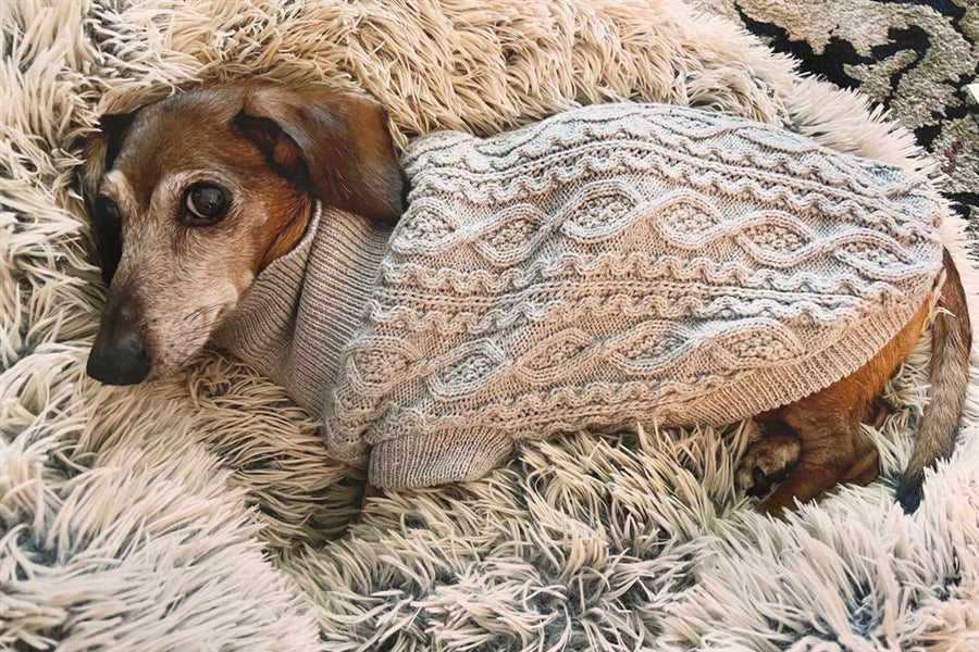 Parisian Pet 'Cable Knit Sweater' - Warm & Stylish Pet Sweater in Cloud Gray for Dogs & Cats