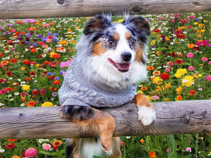 Cable Knit Sweater, Cloud Gray